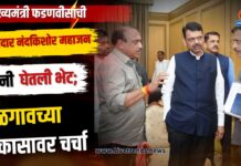 मुख्यमंत्री फडणवीसांची आमदार नंदकिशोर महाजन यांनी घेतली भेट; जळगावच्या विकासावर चर्चा