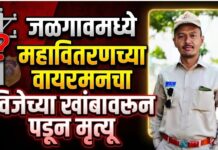 जळगावमध्ये महावितरणच्या वायरमनचा विजेच्या खांबावरून पडून मृत्यू