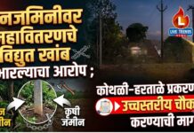 वनजमिनीवर महावितरणचे विद्युत खांब उभारल्याचा आरोप ; कोथळी–हरताळे प्रकरणाची उच्चस्तरीय चौकशी करण्याची मागणी