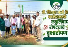 सै. नियाज अली भैय्या फाउंडेशनतर्फे १०० कडुलिंबाच्या रोपट्यांचे वृक्षारोपण