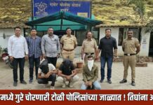 रावेरमध्ये गुरे चोरणारी टोळी पोलिसांच्या जाळ्यात ! तिघांना अटक