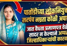 पातोंडीच्या लोकनियुक्त सरपंच नम्रता कोळी अपात्र ; जात वैधता प्रमाणपत्र वेळेत सादर न केल्याने अप्पर जिल्हाधिकाऱ्यांची कारवाई