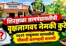 शिरसाळा ग्रामपंचायतीची वृक्षलागवड नेमकी कुठे? २०२१ पासूनच्या लागवडीची चौकशी करण्याची मागणी