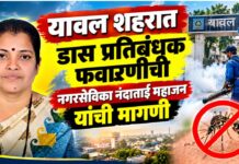 यावल शहरात डास प्रतिबंधक फवारणीची नगरसेविका नंदाताई महाजन यांची मागणी
