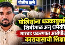 पोलिसांना धक्काबुक्की, शिवीगाळ अन् धमकी; मारवड प्रकरणात आरोपीला कारावासाची शिक्षा