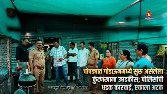 crime news