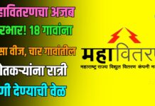 महावितरणचा अजब कारभार! १८ गावांना दिवसा वीज, चार गावांतील शेतकऱ्यांना रात्री पाणी देण्याची वेळ