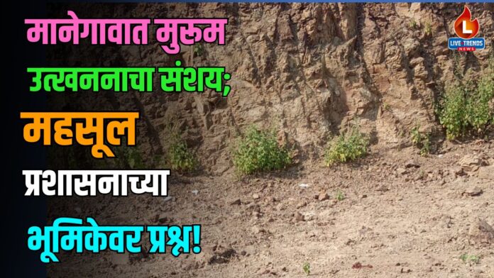 manegaon