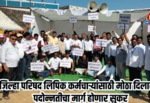 जिल्हा परिषद लिपिक कर्मचाऱ्यांसाठी मोठा दिलासा! पदोन्नतीचा मार्ग होणार सुकर