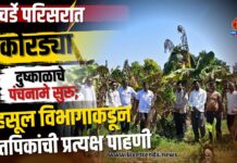 पिचर्डे परिसरात कोरड्या दुष्काळाचे पंचनामे सुरू; महसूल विभागाकडून शेतपिकांची प्रत्यक्ष पाहणी