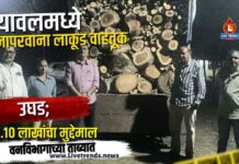 यावलमध्ये विनापरवाना लाकूड वाहतूक उघड; ३.१० लाखांचा मुद्देमाल वनविभागाच्या ताब्यात